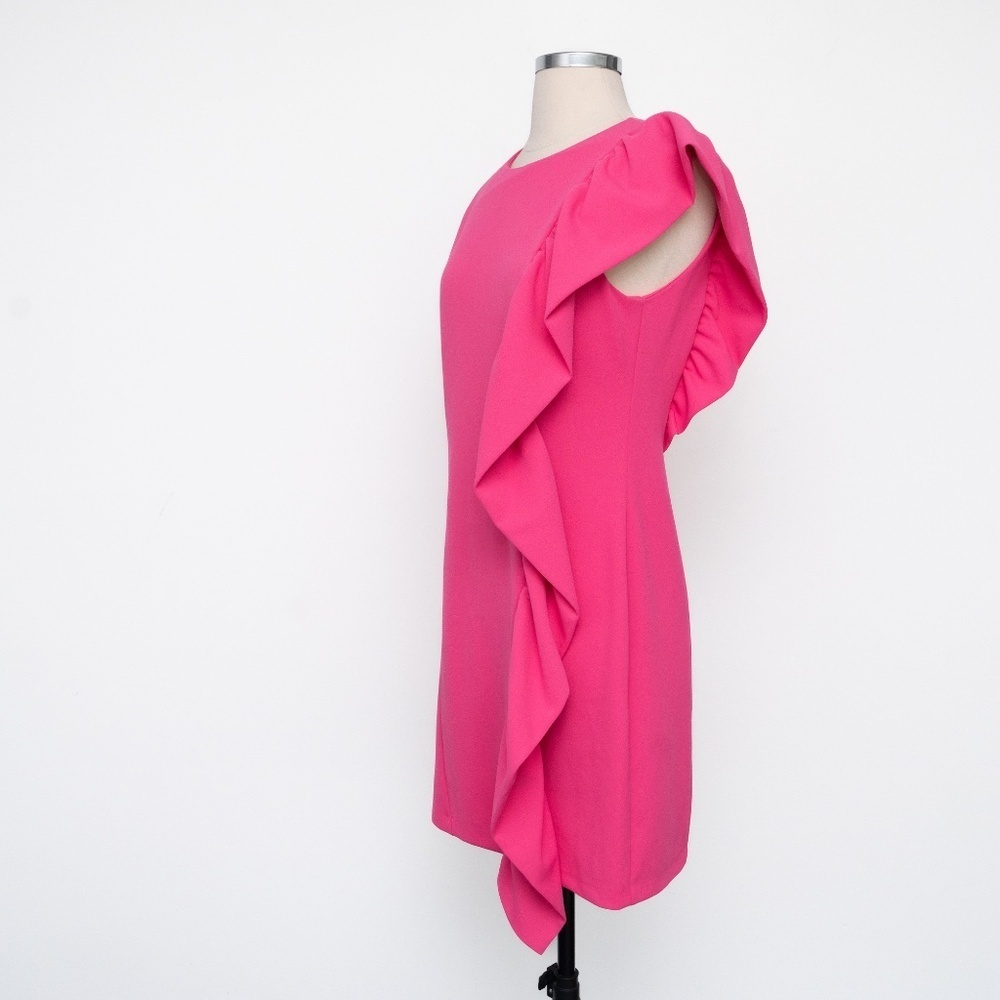 Aniye By | Ruffle Sheath Mini Dress - Picture 8 of 12